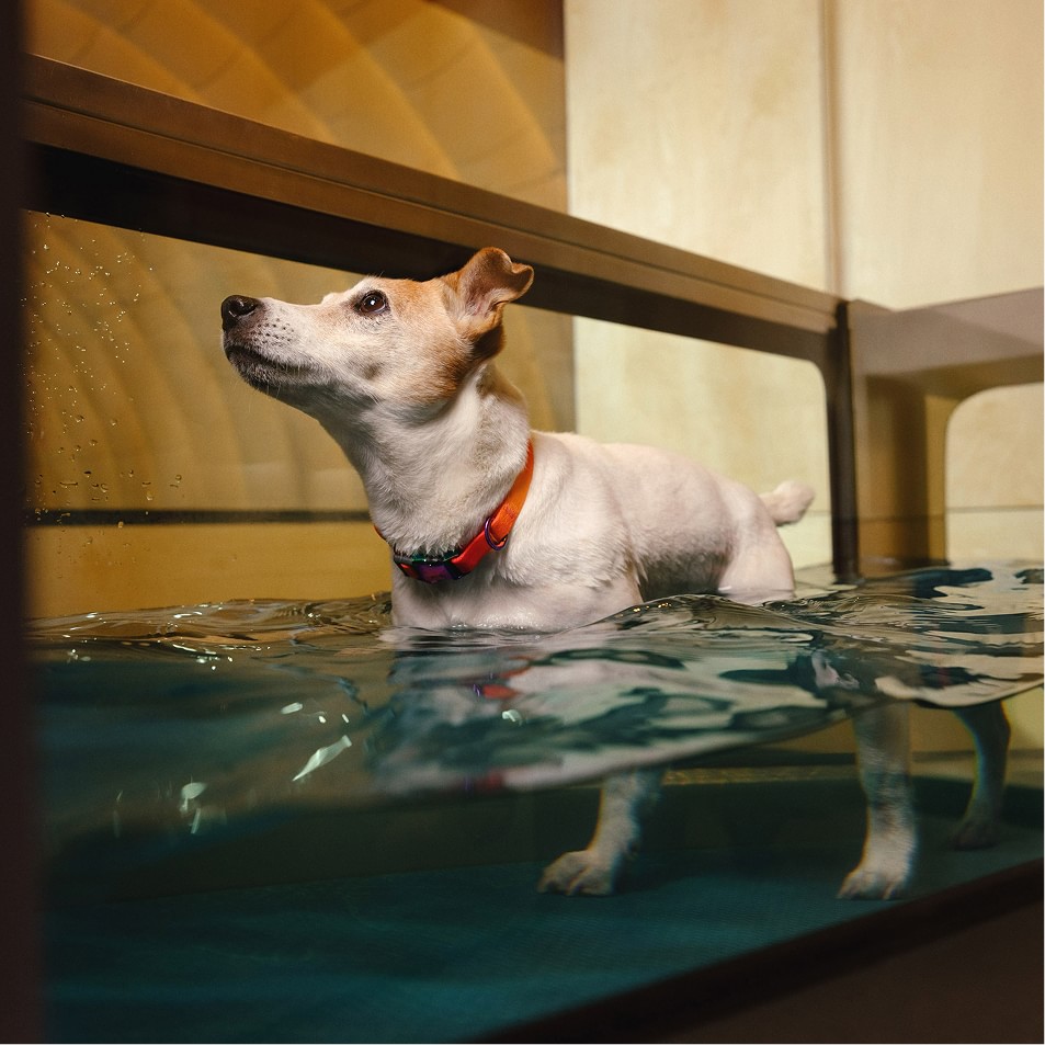 Фітнес-зона