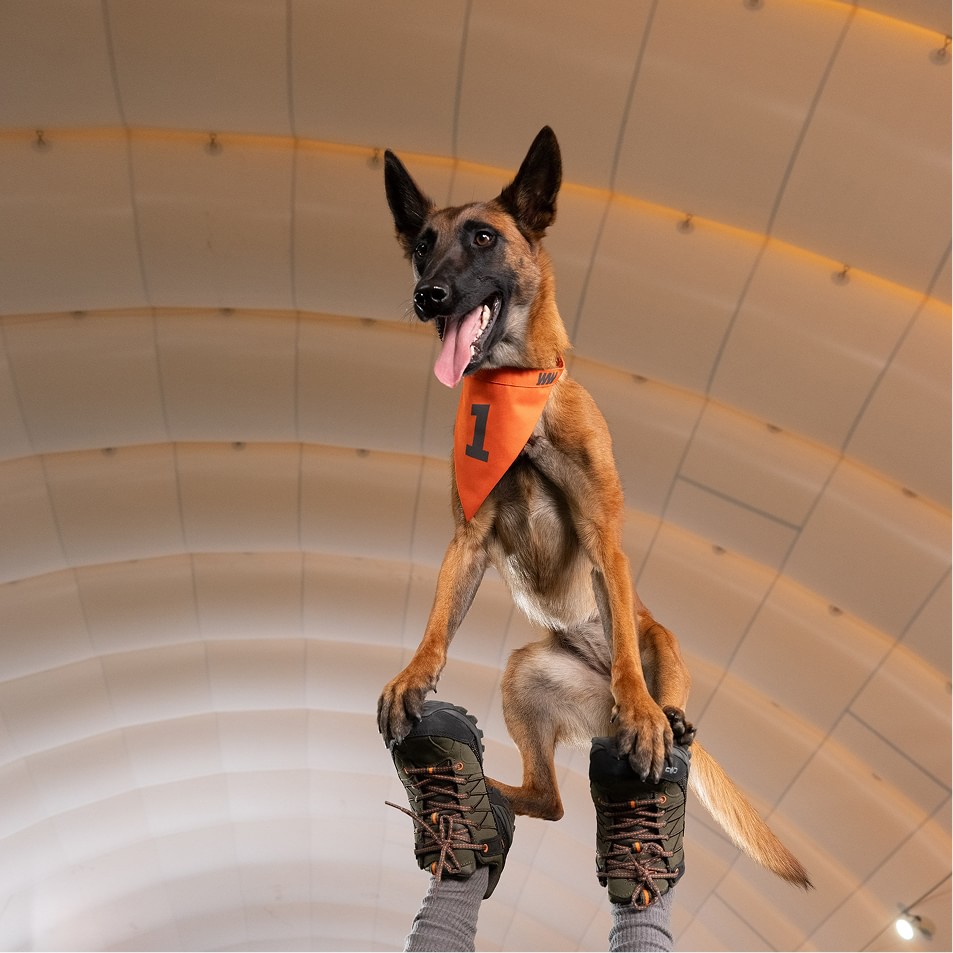 у приміщенні<br> та надворі